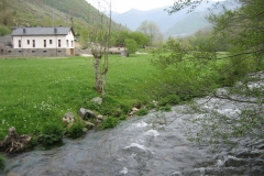 casa-martin-turismo-rural-asturias-muniellos-37